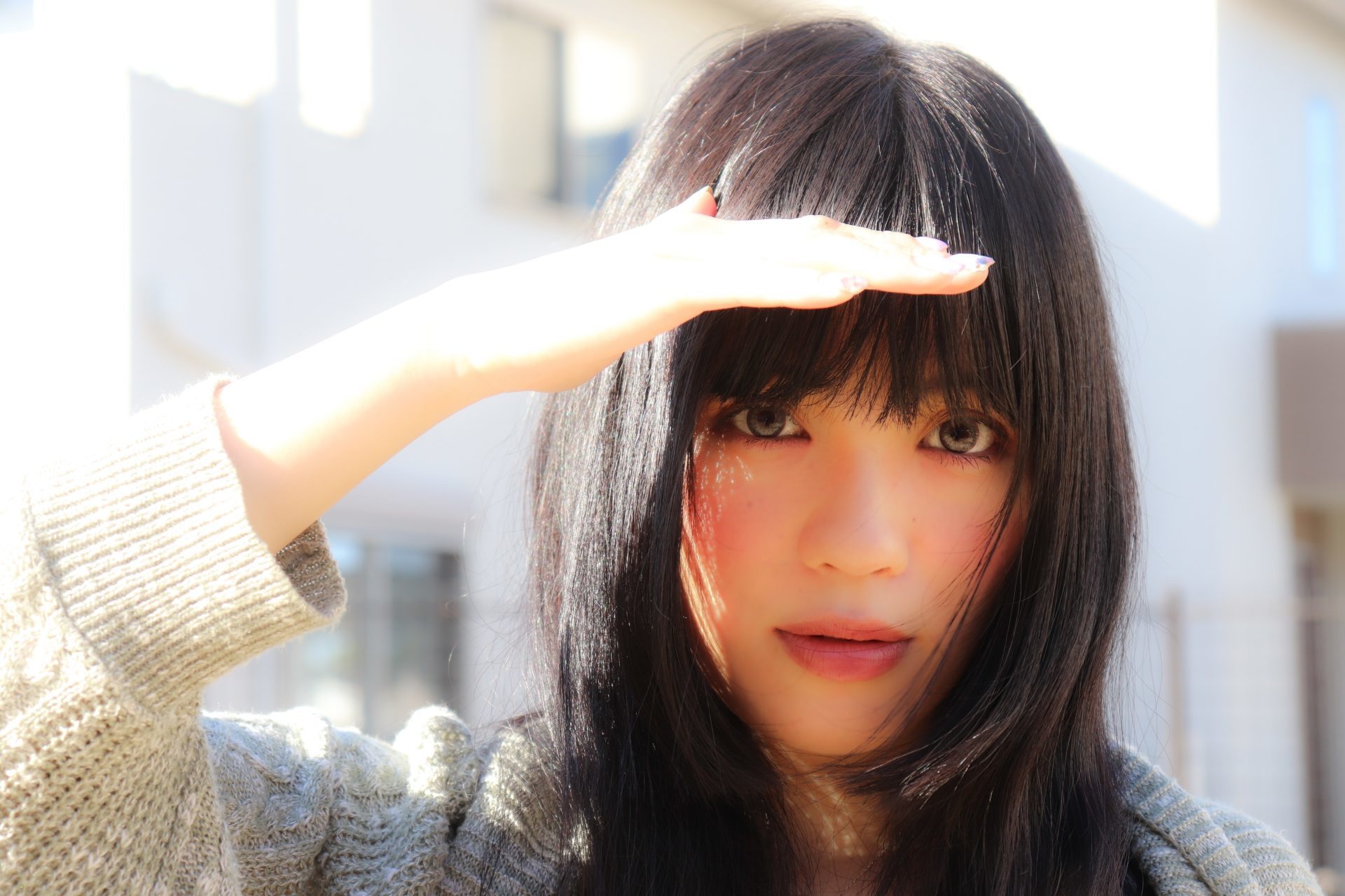 写真：日差し